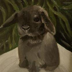 Bunny Rabbit Mini Lop Fine Art Print - "Baby goes on a picnic"